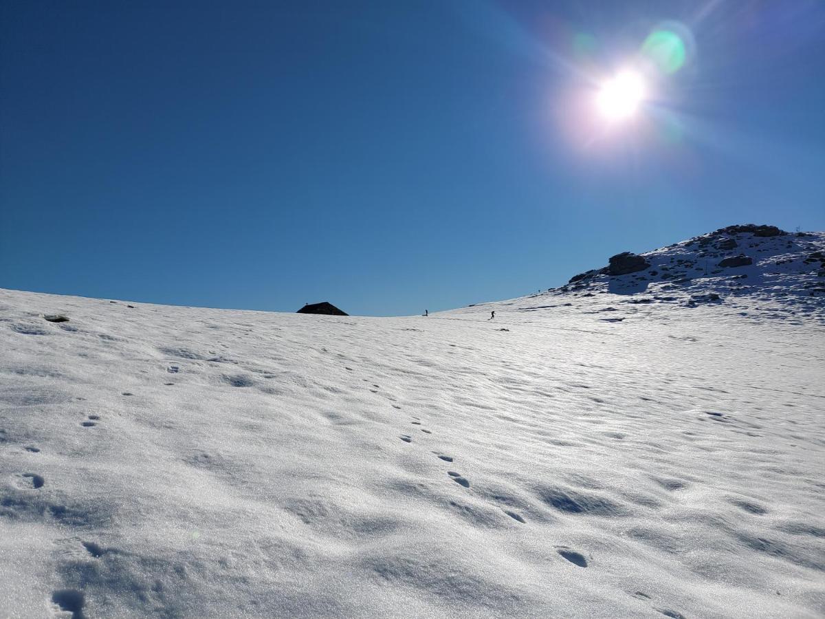 Gran Paradiso Alpette Bagian luar foto