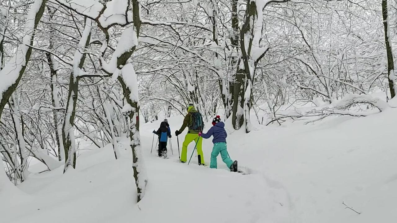 Gran Paradiso Alpette Bagian luar foto